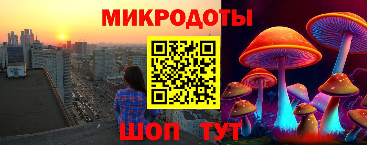 Галлюциногенные грибы мухоморы Дзержинский