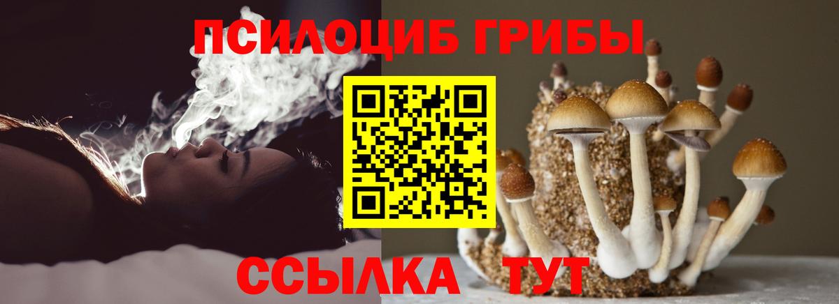 Дзержинский  Псилоцибиновые грибы Psilocybine cubensis  Вход с VPN 